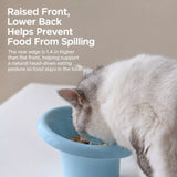 Wide-Opening Ceramic Pet Bowl for Cats and Dogs