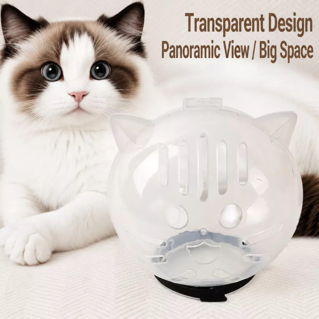 Plastic Recovery Cone for Cats During Grooming and Care