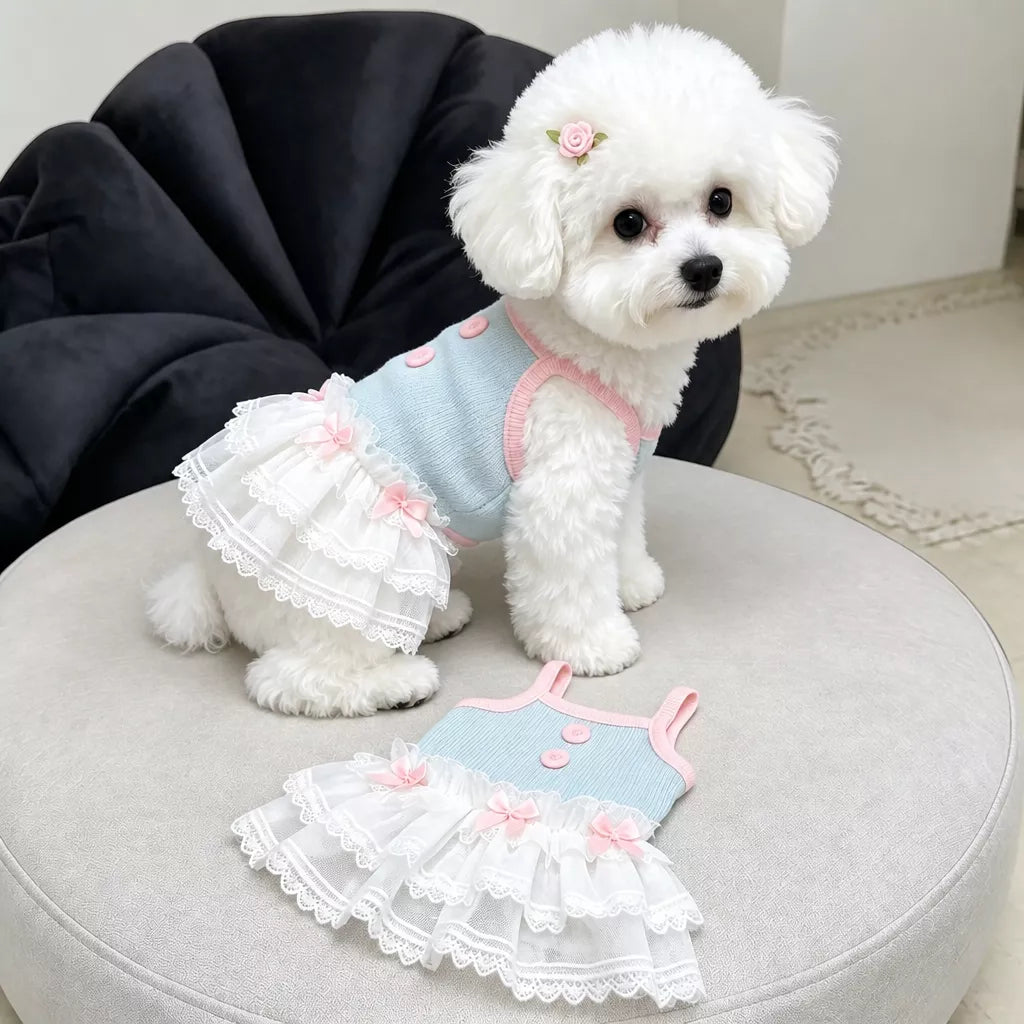 Pet Tank Tops and Strappy Dresses