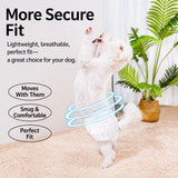 Disposable Dog Diapers for Male and Female Dogs