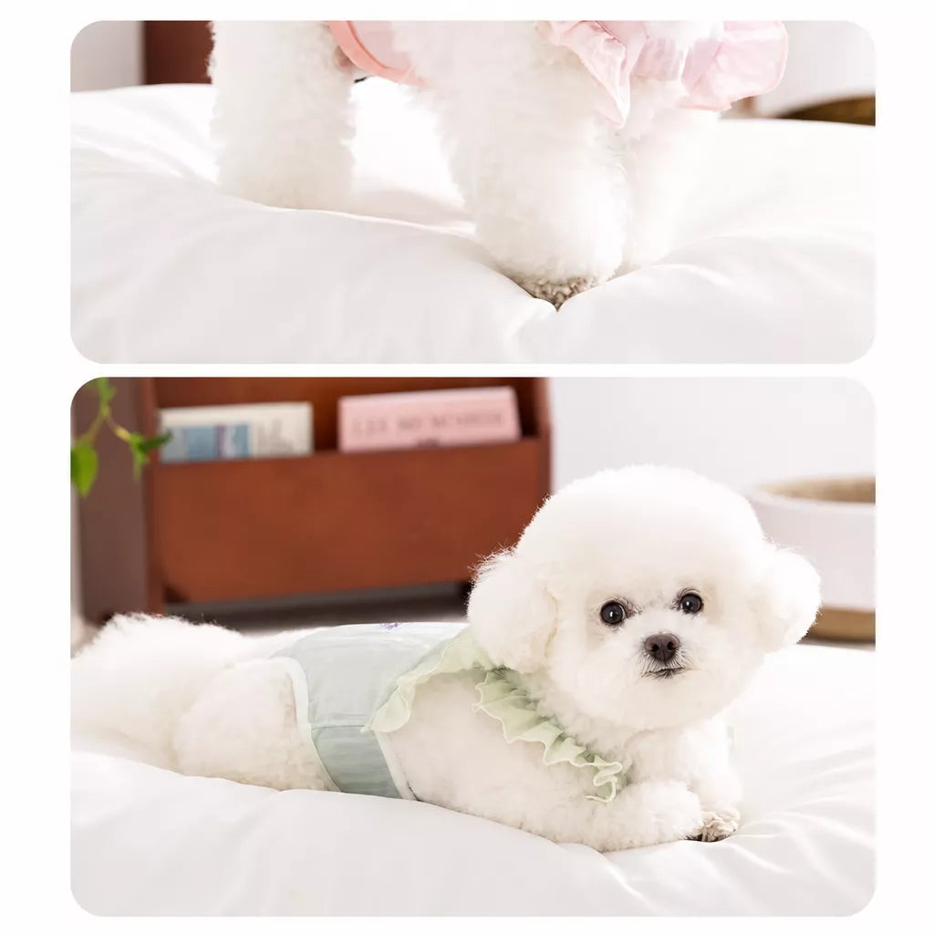 Female Dog Diaper Pants