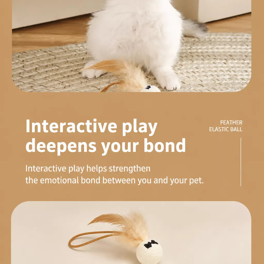 Cat Ball Toy with Feather Details