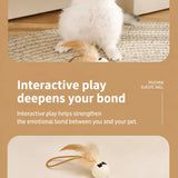 Cat Ball Toy with Feather Details