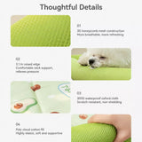 Washable Pet Bed for Dogs with Removable Cover