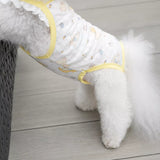 Lightweight Dog & Cat Vest