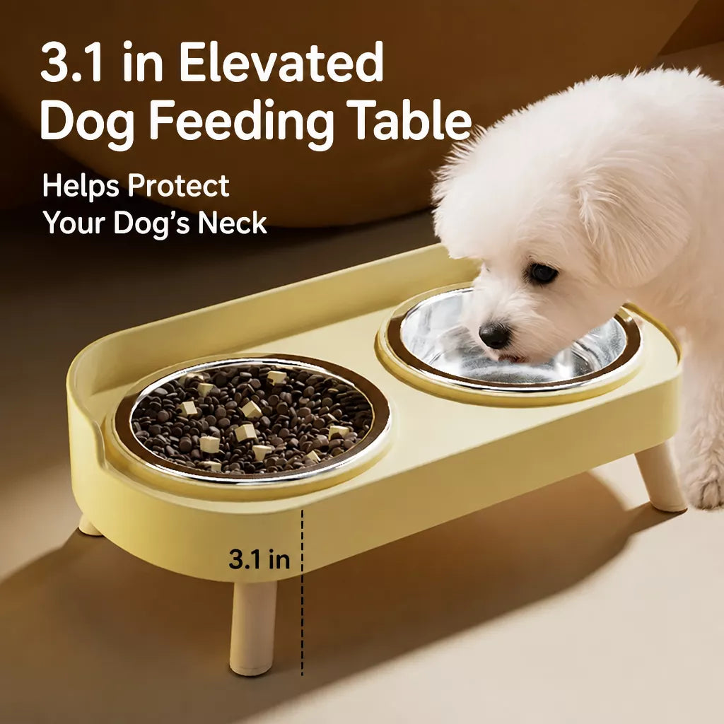 Stainless Steel Dog Bowl with Plastic Stand for Small Dogs
