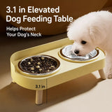 Stainless Steel Dog Bowl with Plastic Stand for Small Dogs