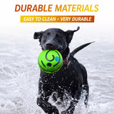 Interactive Squeaky Ball Dog Toy