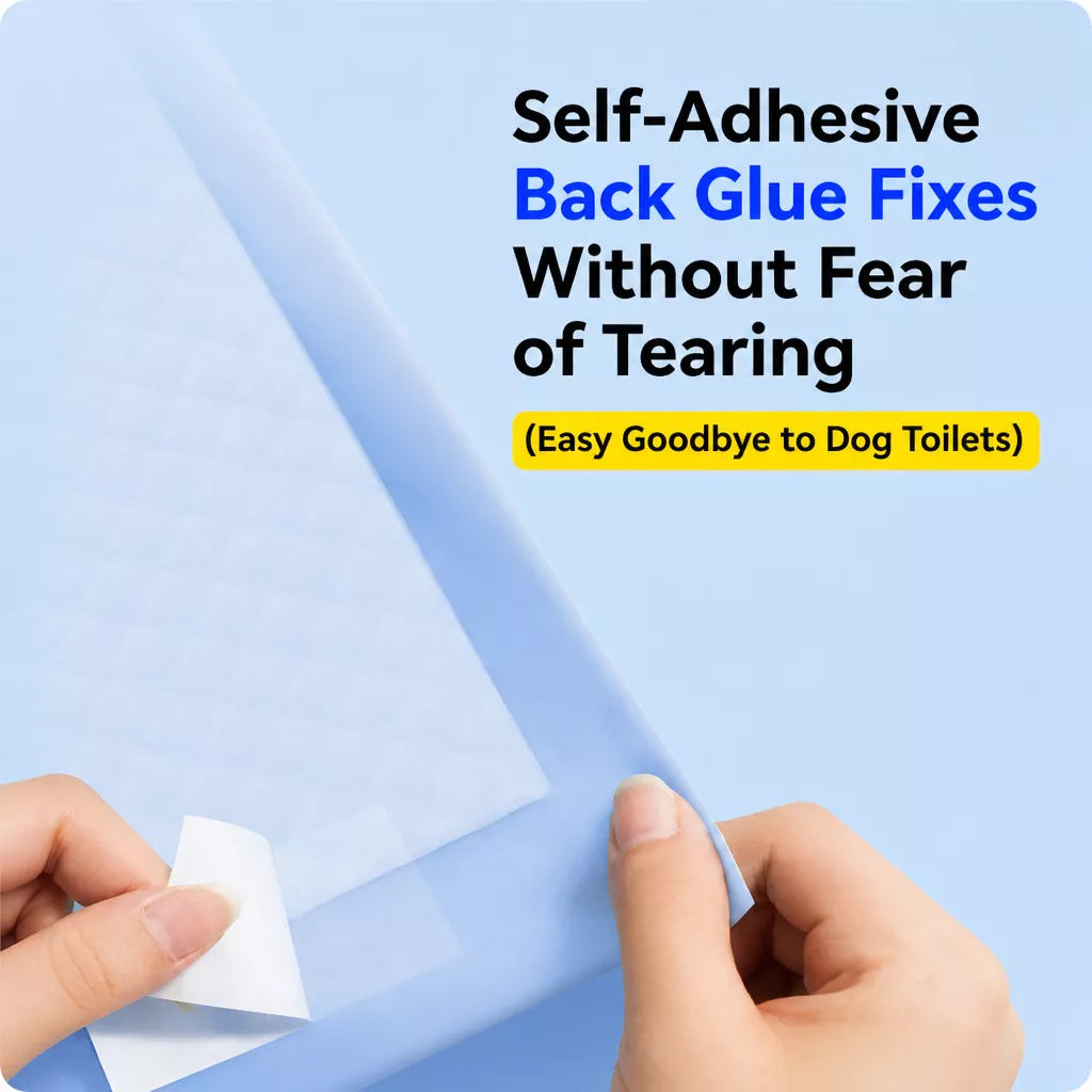 Absorbent Pet Training Pads with a Non-Woven Surface