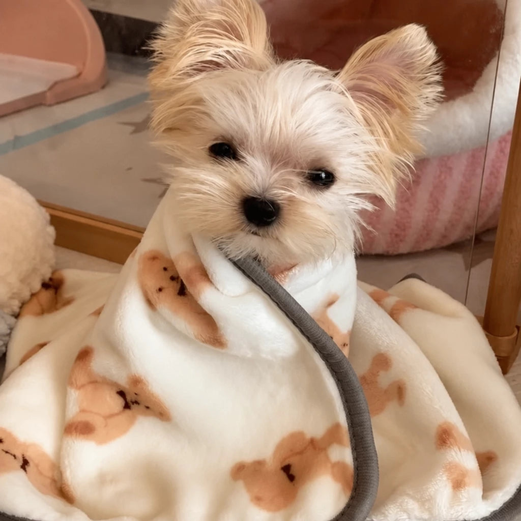 Fleece Pet Blanket for Dogs and Cats