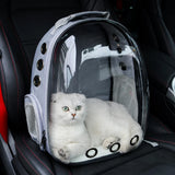 Pet Backpack Carrier for Cats and Dogs