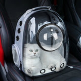 Pet Backpack Carrier for Cats and Dogs
