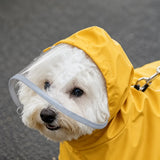 Dog Raincoat for Small and Medium Dogs