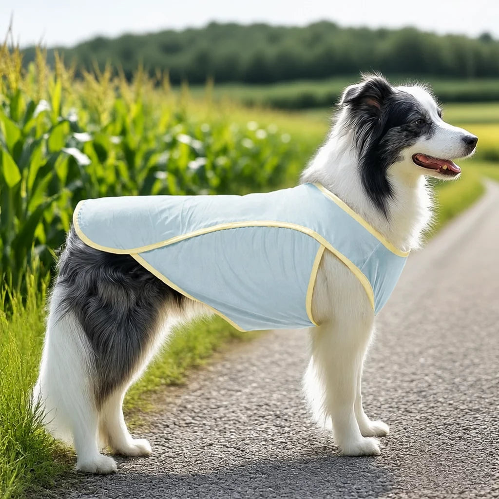 Lightweight Polyester Vest for Medium and Large Dogs