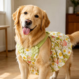 Summer Dog Dress with Shoulder Straps for Medium to Large Dogs