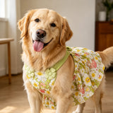 Summer Dog Dress with Shoulder Straps for Medium to Large Dogs
