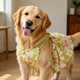 Summer Dog Dress with Shoulder Straps for Medium to Large Dogs