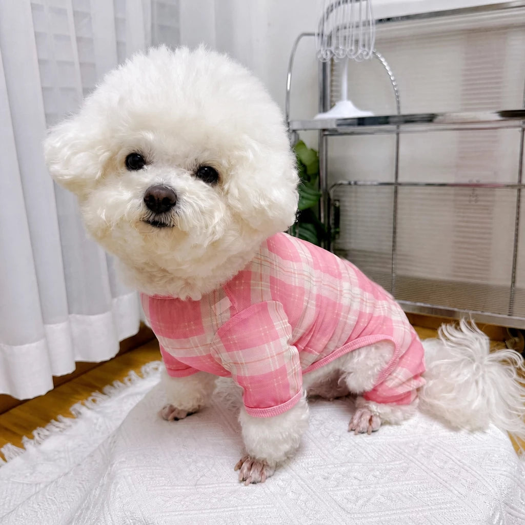 Striped Mesh Four-Leg Summer Shirt for Dogs