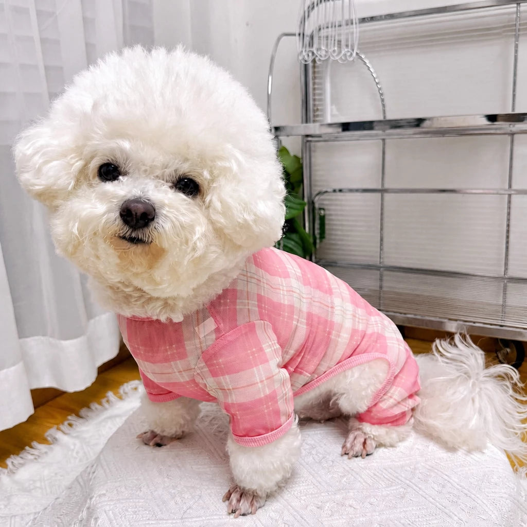 Striped Mesh Four-Leg Summer Shirt for Dogs