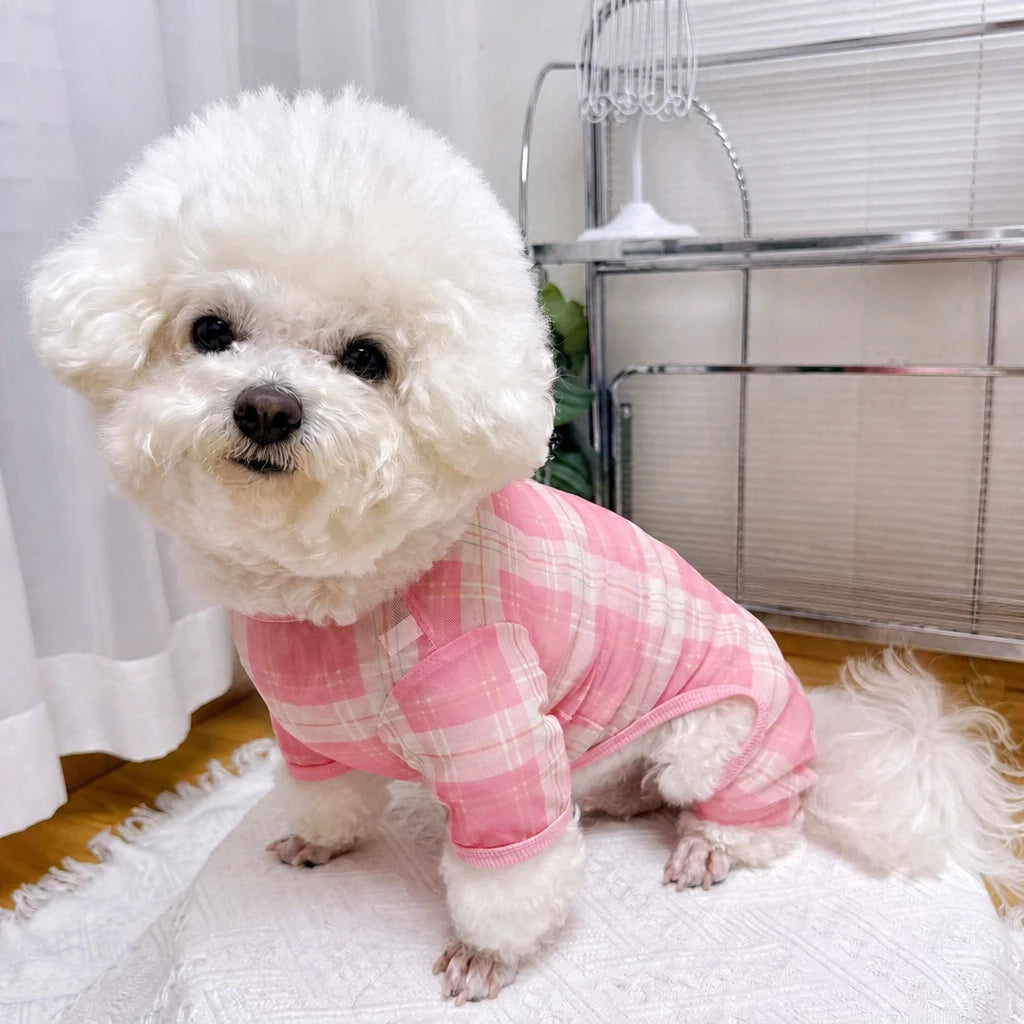 Striped Mesh Four-Leg Summer Shirt for Dogs