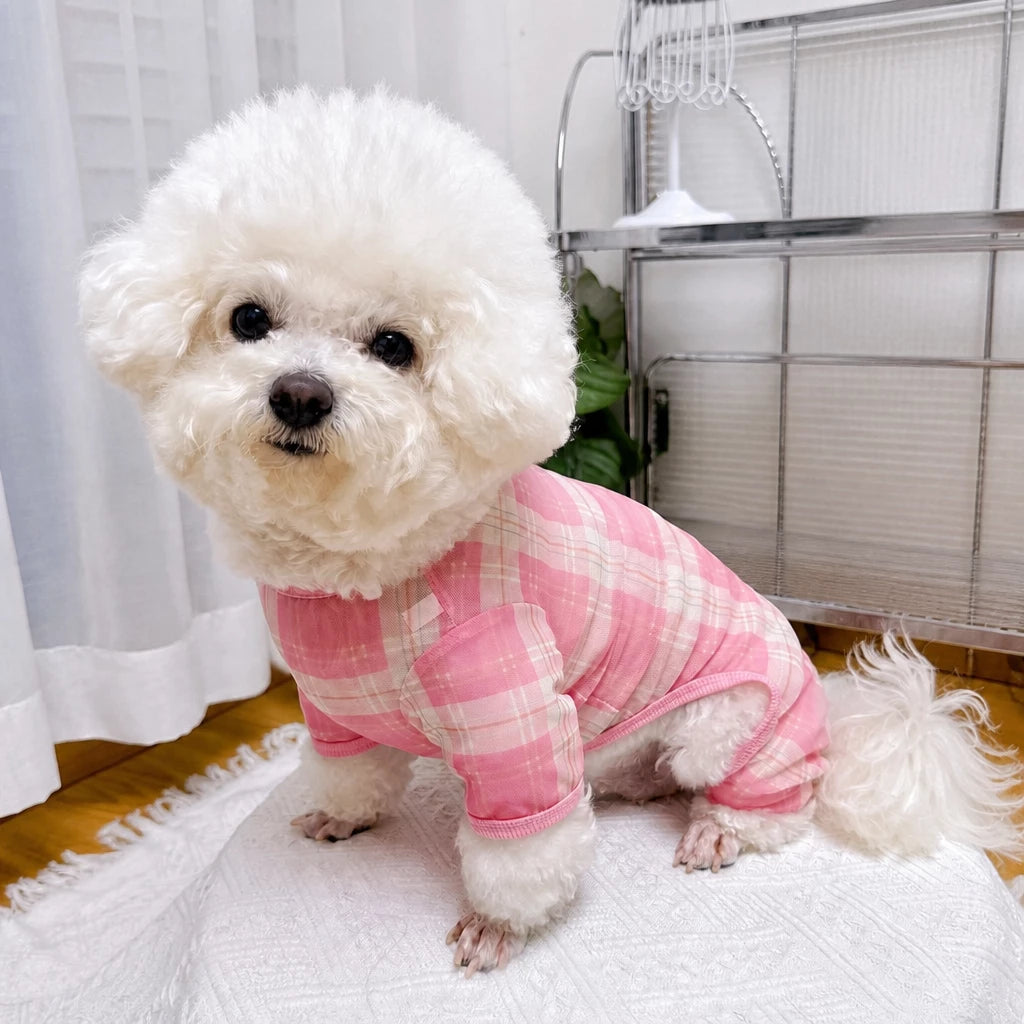 Striped Mesh Four-Leg Summer Shirt for Dogs
