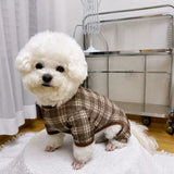 Striped Mesh Four-Leg Summer Shirt for Dogs