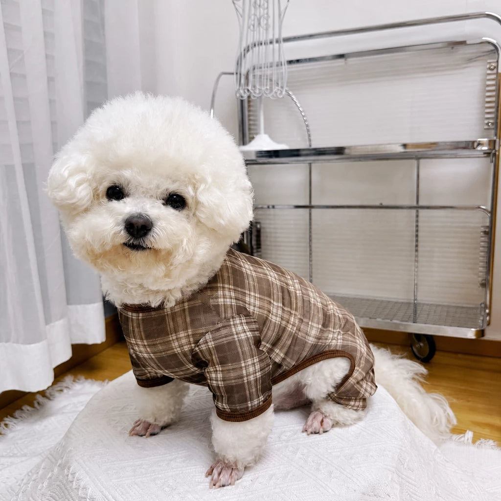 Striped Mesh Four-Leg Summer Shirt for Dogs