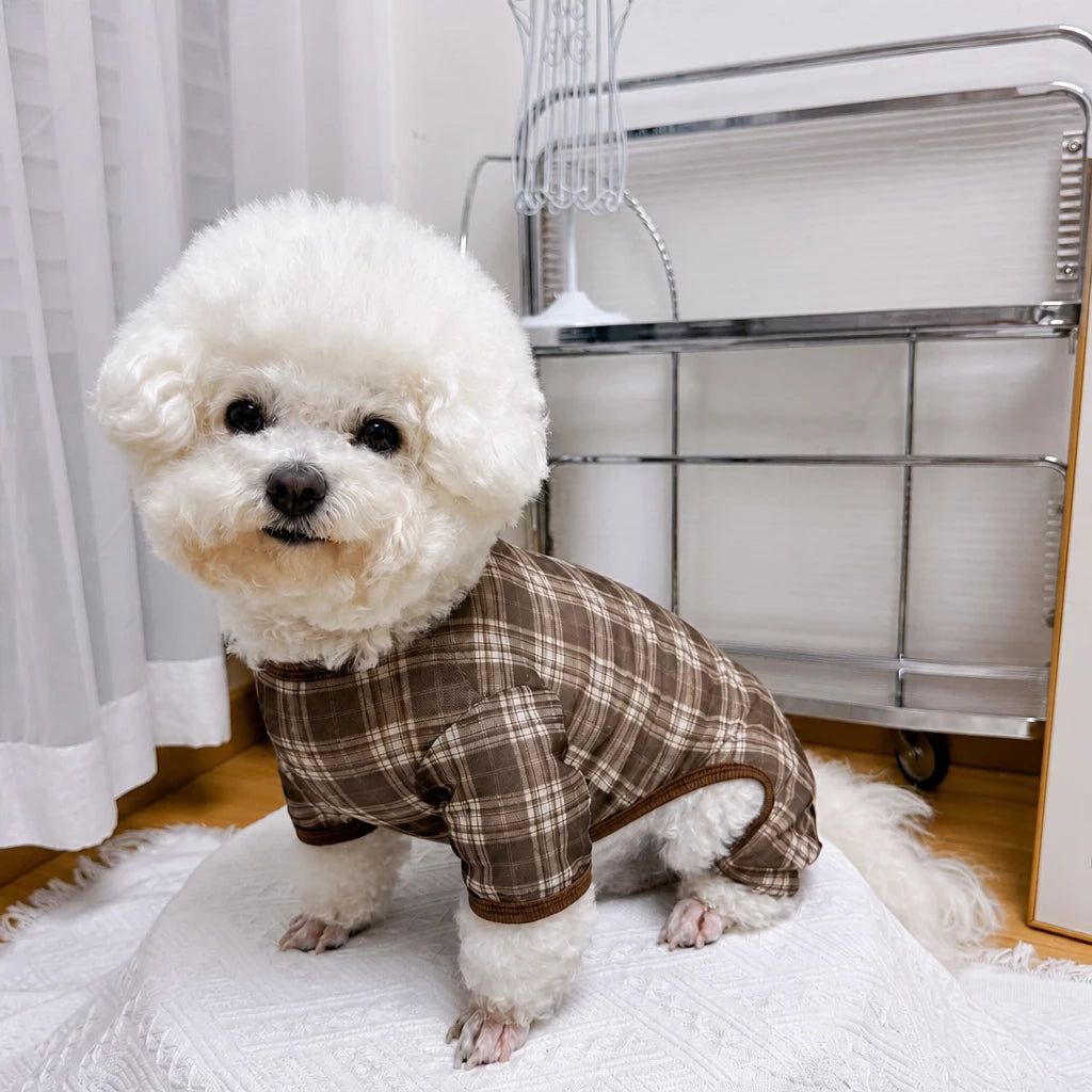Striped Mesh Four-Leg Summer Shirt for Dogs