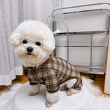 Striped Mesh Four-Leg Summer Shirt for Dogs