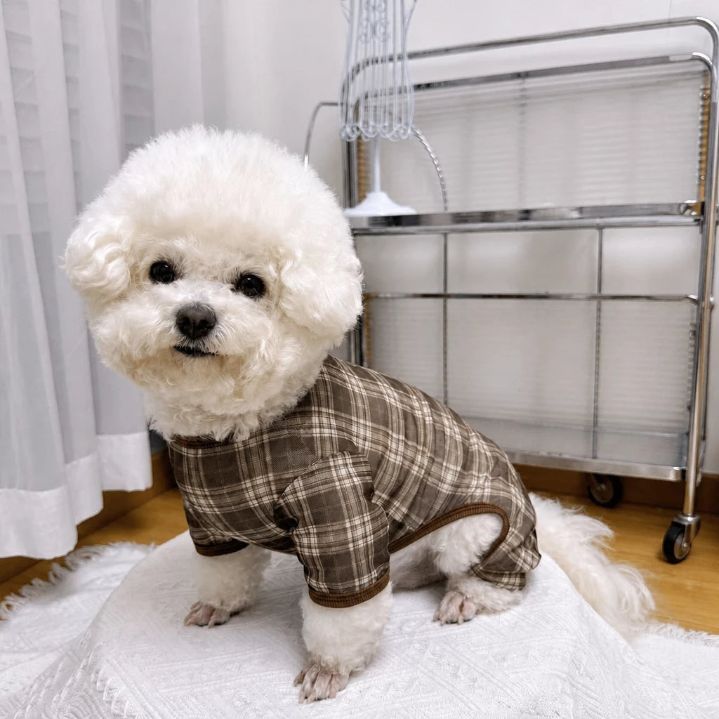 Striped Mesh Four-Leg Summer Shirt for Dogs