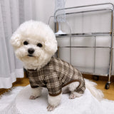 Striped Mesh Four-Leg Summer Shirt for Dogs