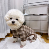 Striped Mesh Four-Leg Summer Shirt for Dogs