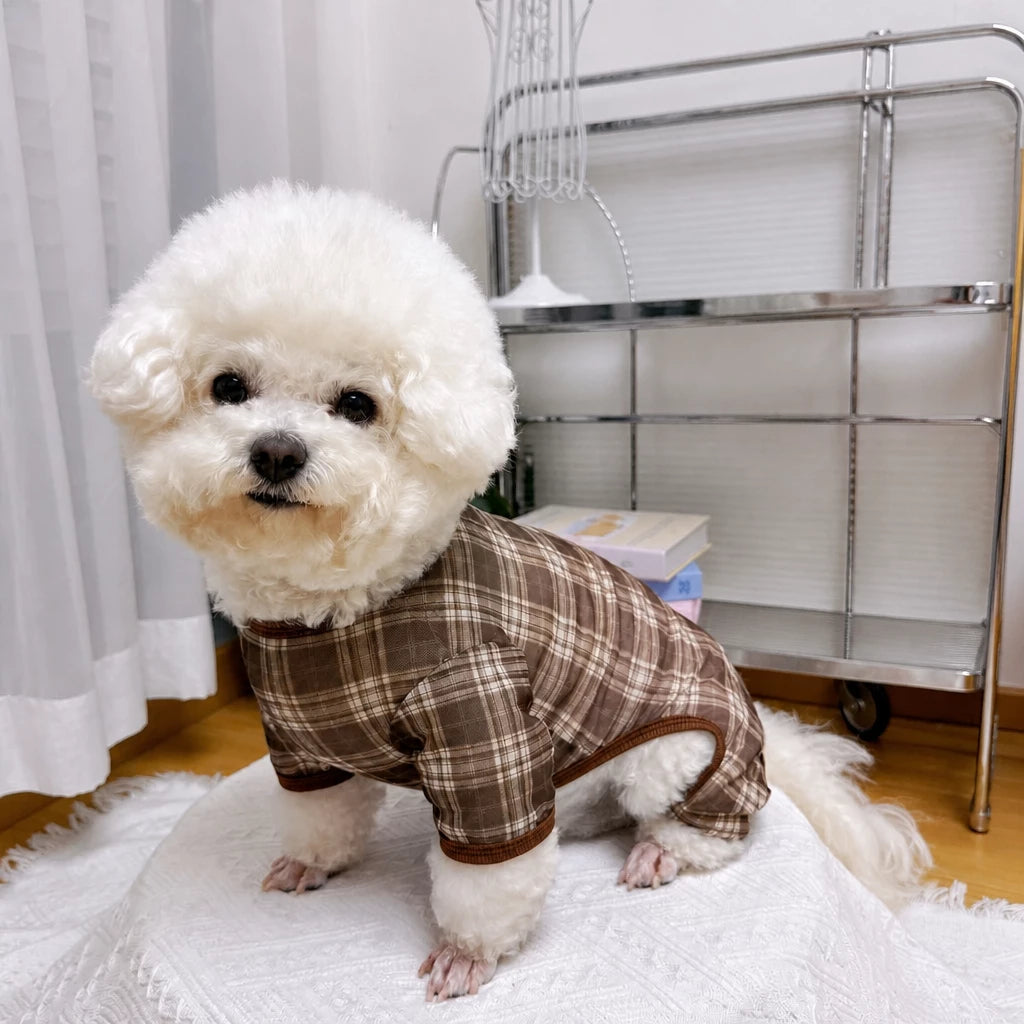 Striped Mesh Four-Leg Summer Shirt for Dogs