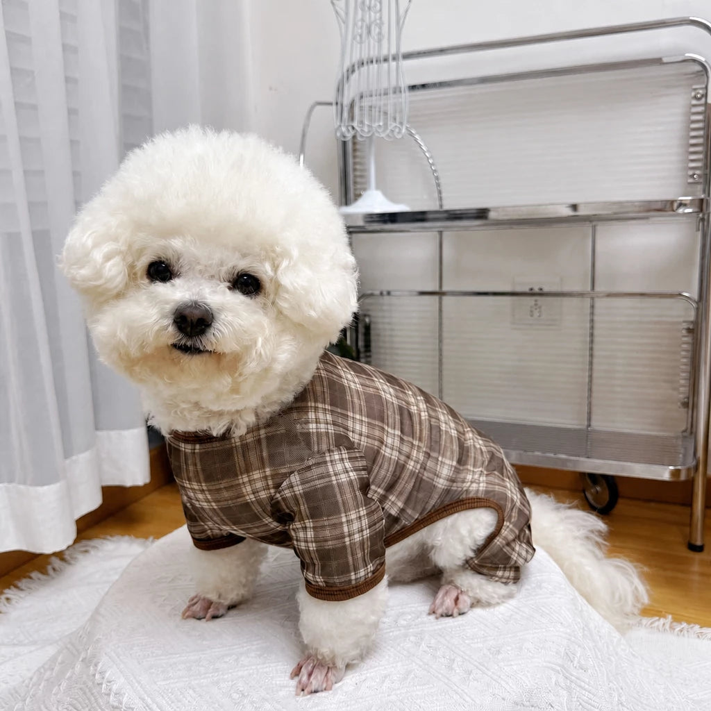 Striped Mesh Four-Leg Summer Shirt for Dogs