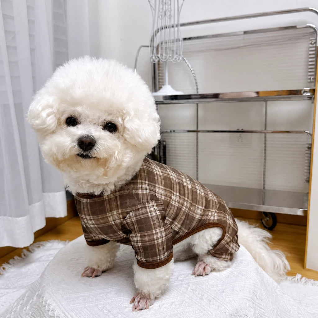 Striped Mesh Four-Leg Summer Shirt for Dogs