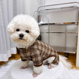 Striped Mesh Four-Leg Summer Shirt for Dogs