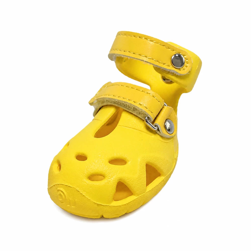 Dog Clog-Style Shoes for Outdoor Walks