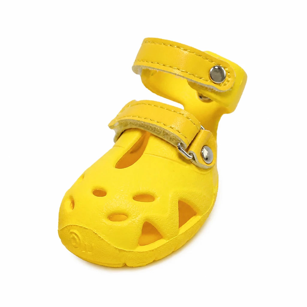 Dog Clog-Style Shoes for Outdoor Walks
