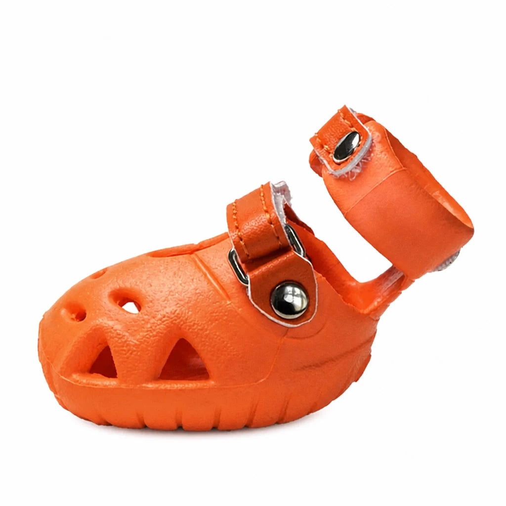 Dog Clog-Style Shoes for Outdoor Walks