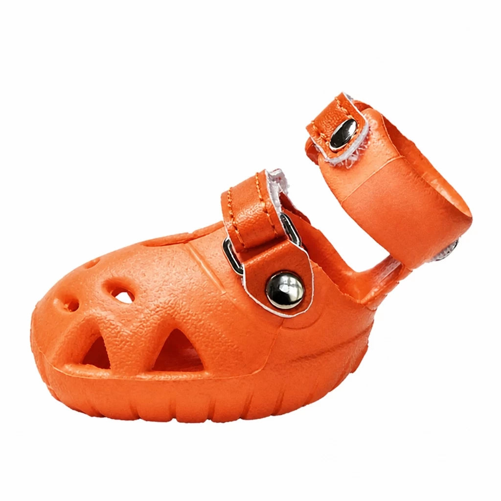 Dog Clog-Style Shoes for Outdoor Walks