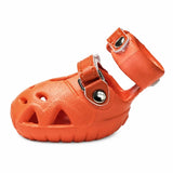 Dog Clog-Style Shoes for Outdoor Walks