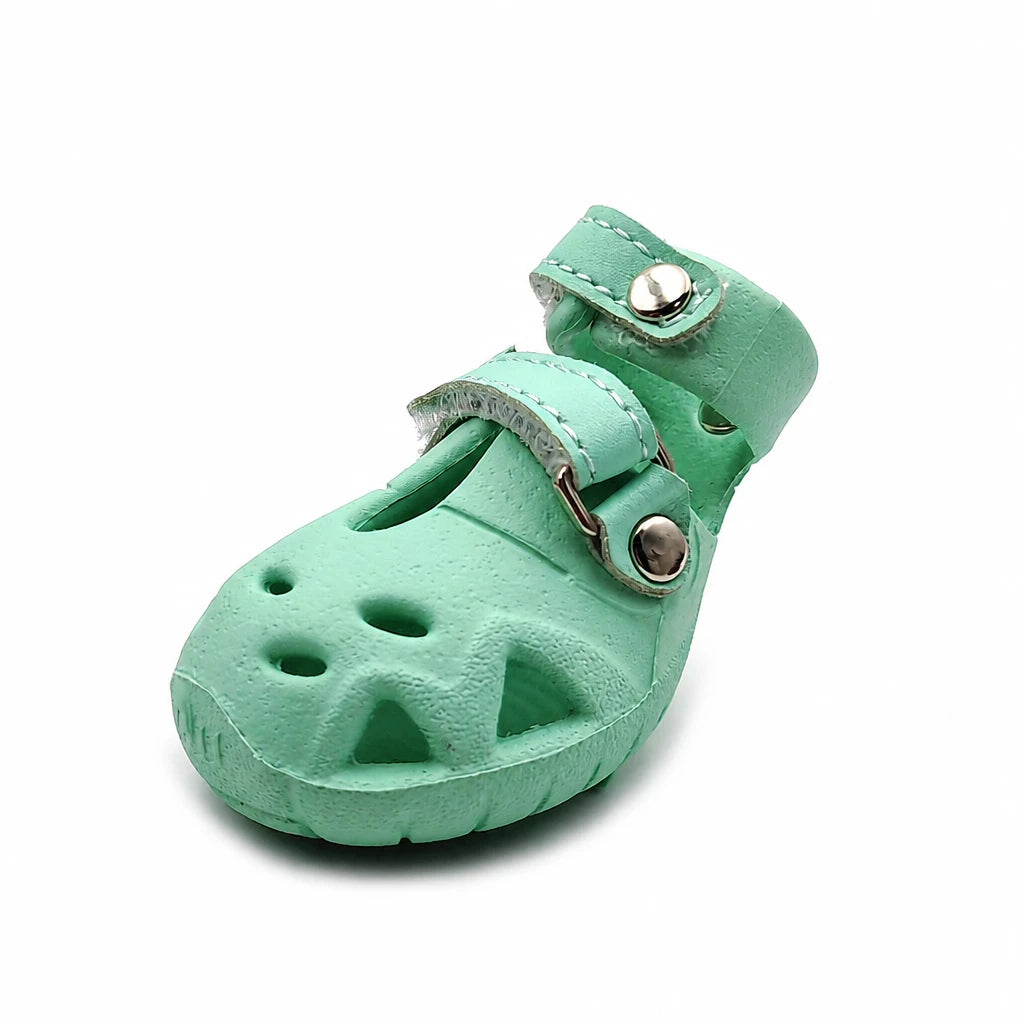 Dog Clog-Style Shoes for Outdoor Walks