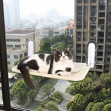 Cat Window Hammock with Suction Cup Mount
