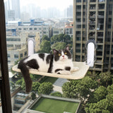 Cat Window Hammock with Suction Cup Mount