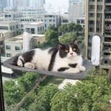 Cat Window Hammock with Suction Cup Mount