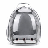 Transparent Pet Carrier Backpack for Cats and Small Dogs