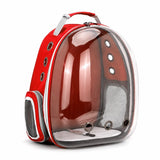 Transparent Pet Carrier Backpack for Cats and Small Dogs