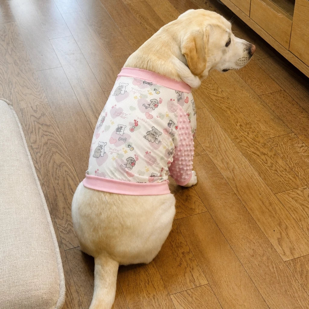 Lightweight Dog Jacket with Elbow and Knee Sleeves for Large Dogs