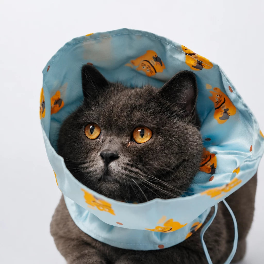 Adjustable Cat & Dog Cone Collar with Maneki-Neko Print