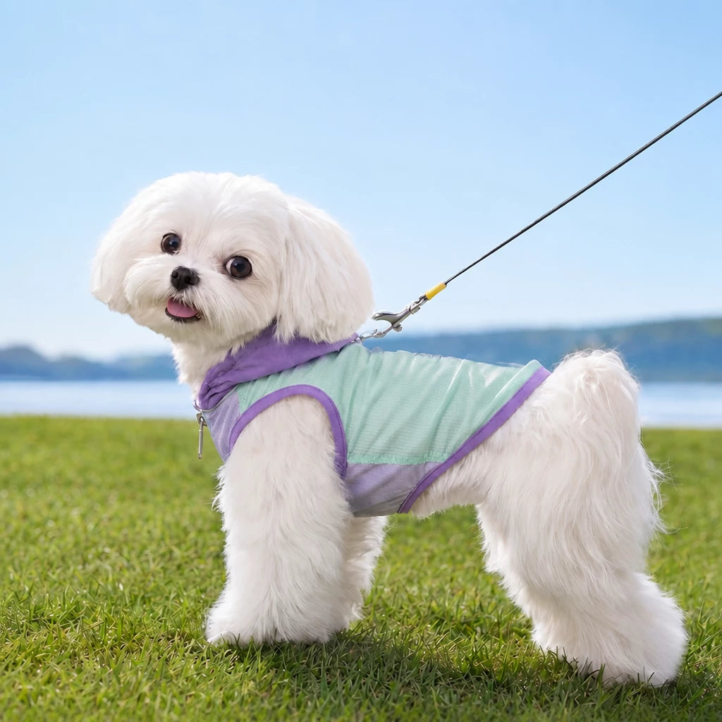 Summer Pet Shirt for Small Dogs